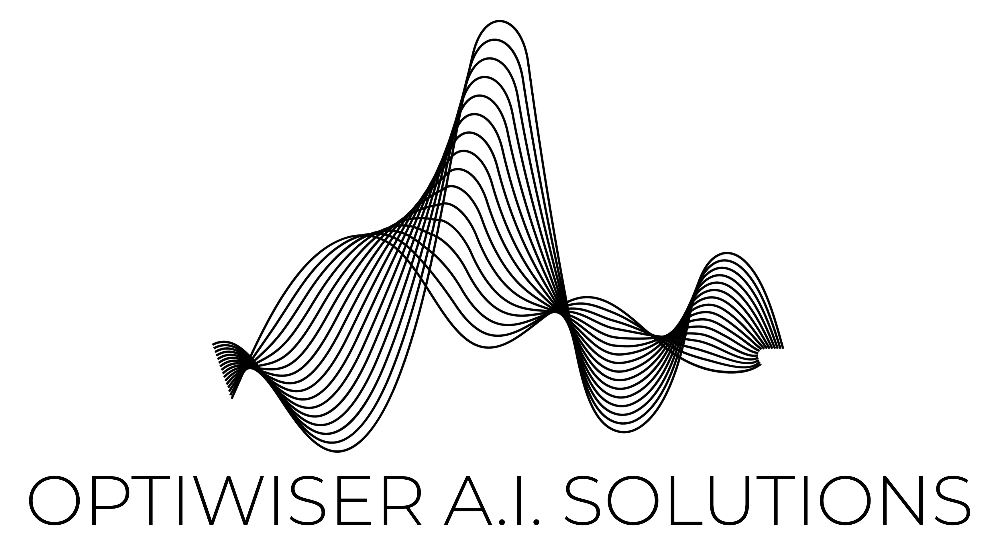 Optiwiser AI Solutions